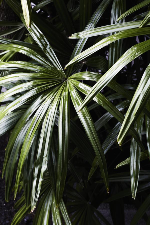 The Villas Of Byron Byron Bay Eksteriør bilde